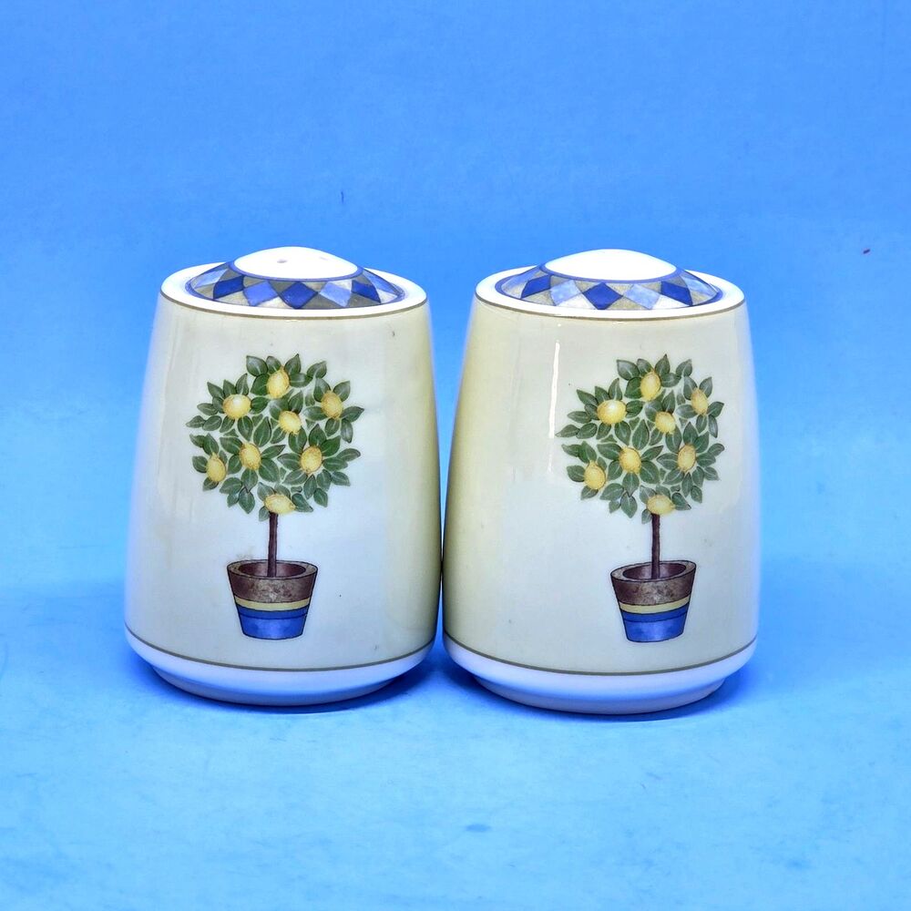Royal Doulton Carmina Salt And Pepper Shaker Set